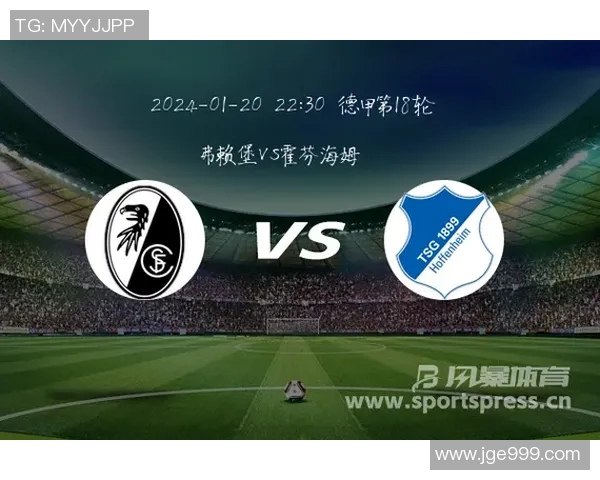 汉诺威主场战平霍芬海姆，德甲榜首争夺悬念延续